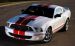 Shelby Shelby Cobra GT500 Red Stripe Widescreen Picture #13